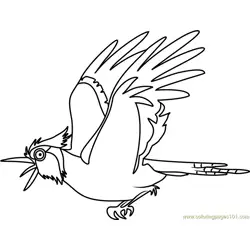 Bluejay Stoked Free Coloring Page for Kids
