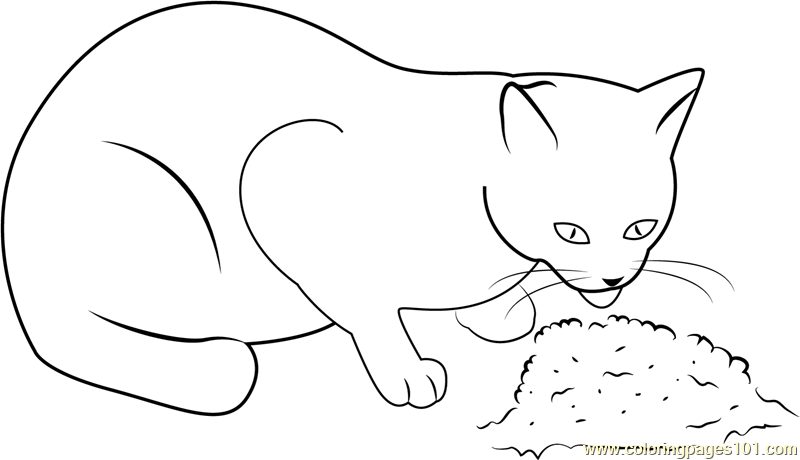 91 Collection Coloring Pages Of Cat With Food  Latest HD