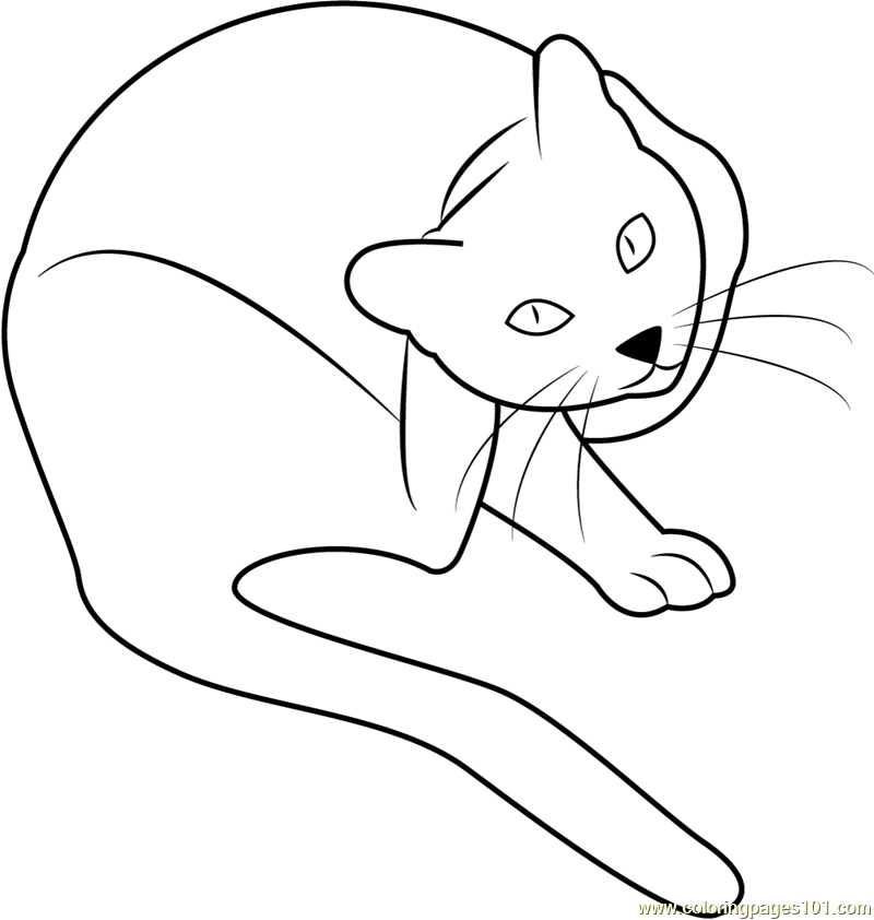 Cat Scratching His Ear Coloring Page for Kids - Free Cat Printable