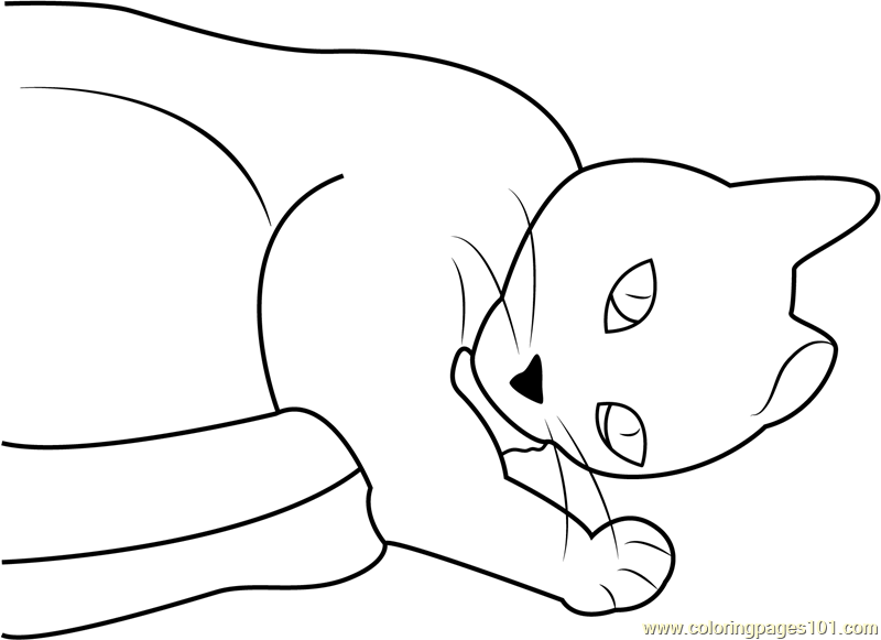 Cat Sleeping on Floor Coloring Page for Kids - Free Cat Printable