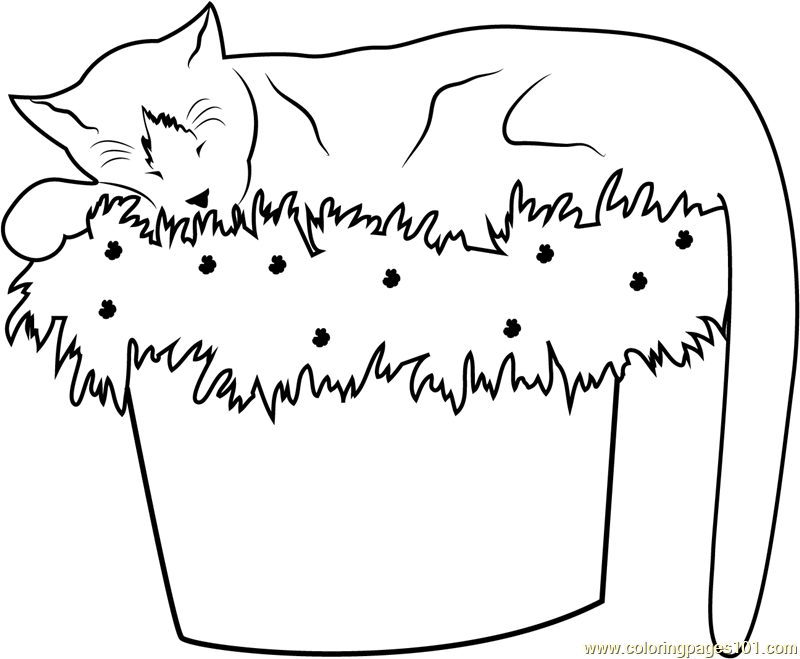 Cat Sleeping on Flowerpot Coloring Page for Kids - Free Cat Printable