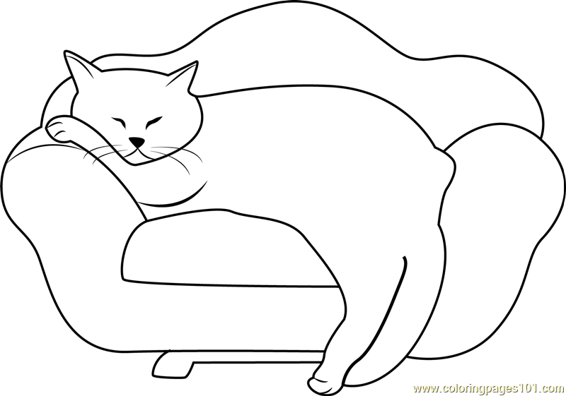 Cat Sleeping on Sofa