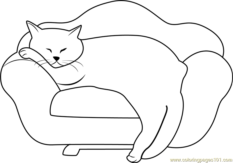 kids coloring pages sleeping cat