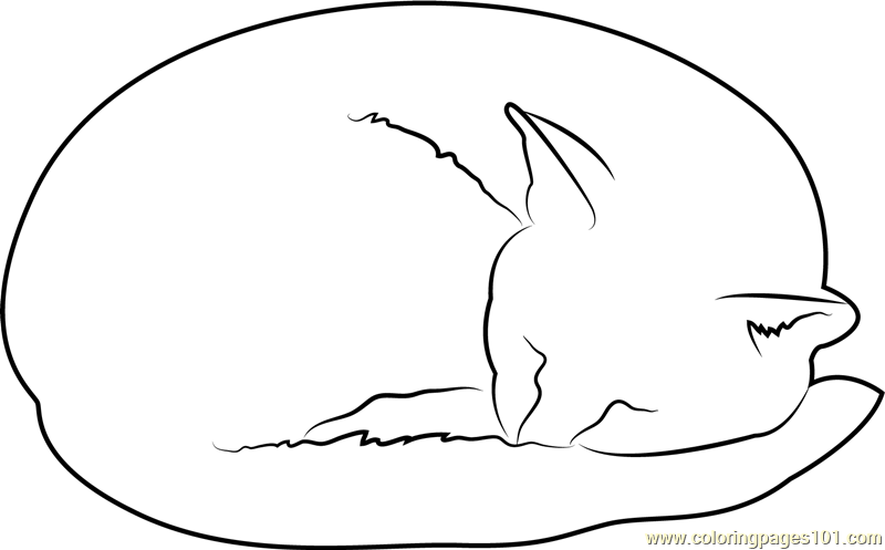 Cat Sleeping on his Tail Coloring Page for Kids - Free Cat Printable