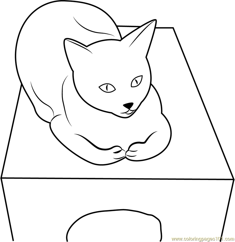 Cat is sitting on Box Coloring Page for Kids - Free Cat Printable