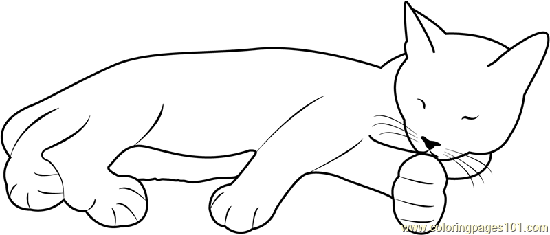 kids coloring pages sleeping cat