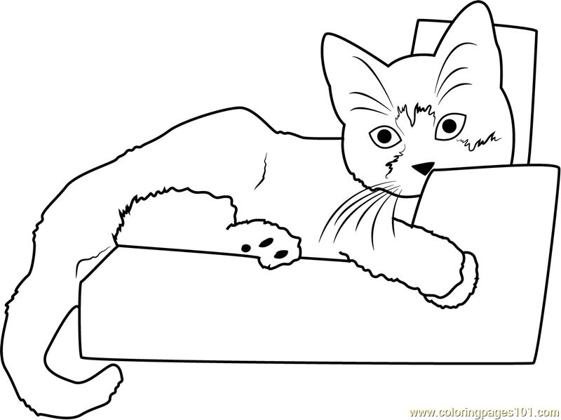 Download 332+ Hello Kitty Is Sleeping Coloring Pages PNG PDF File