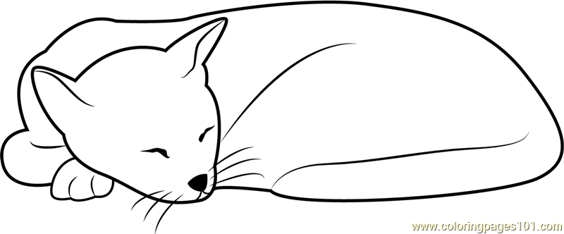 Sleeping Cat Looks Cute Coloring Page for Kids - Free Cat Printable