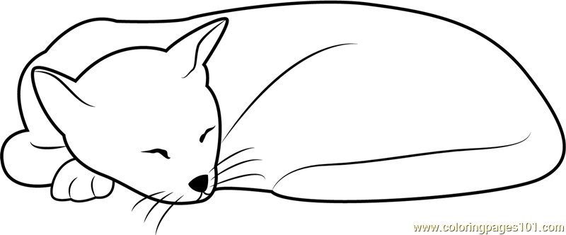 kids coloring pages sleeping cat