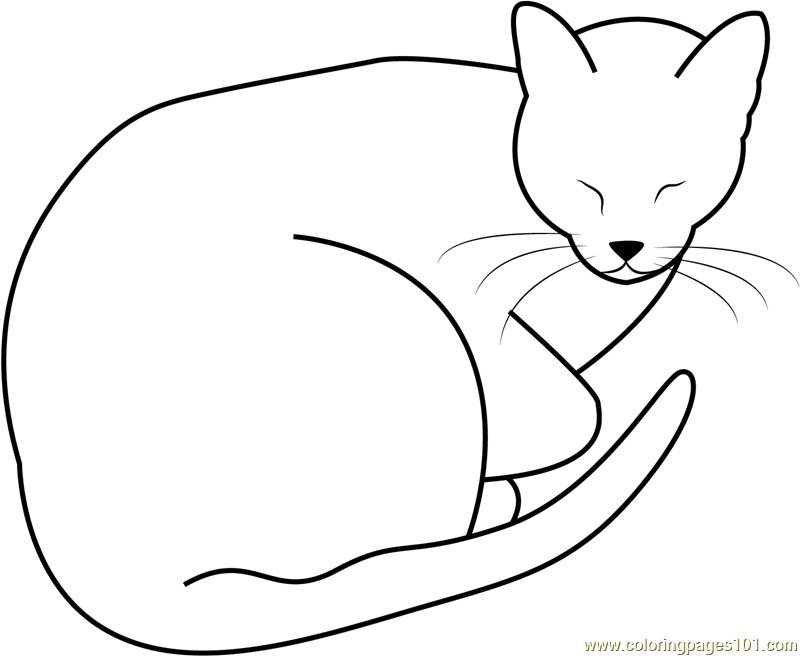 Sleeping Fat Cat by Jedijaruto Coloring Page for Kids - Free Cat