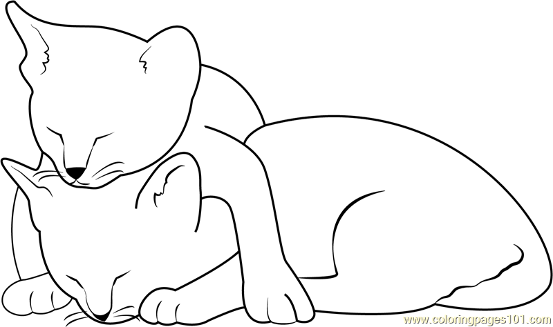 Two Cats Sleeping Coloring Page Free Cat Coloring Pages | Images and