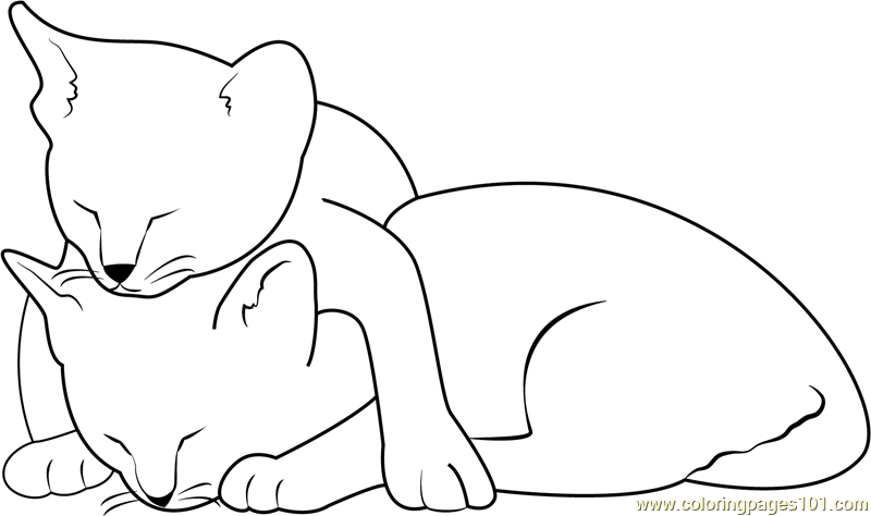 kids coloring pages sleeping cat