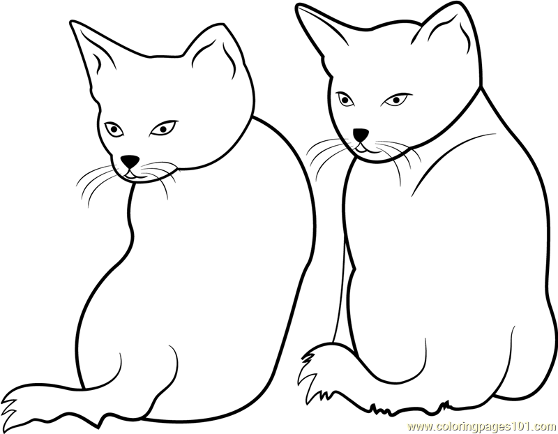 Two Cats Staring Backward
