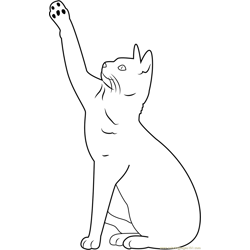 Bengal Cat Free Coloring Page for Kids