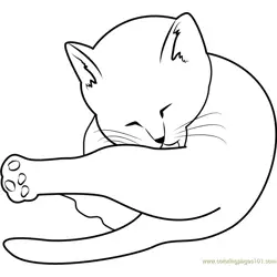 Cat Cleaning Itself Free Coloring Page for Kids