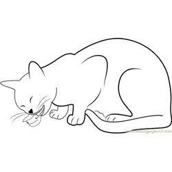 Cat Eating Bid Free Coloring Page for Kids