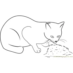 Cat Eating Food Free Coloring Page for Kids