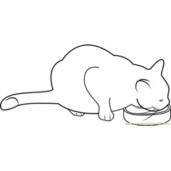 Cat Eating her Food Free Coloring Page for Kids