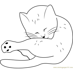 Cat Look Sweet Free Coloring Page for Kids
