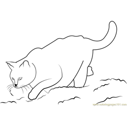 Cat Looking Down Free Coloring Page for Kids