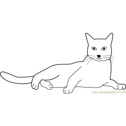 Cat Lying Isolated Free Coloring Page for Kids