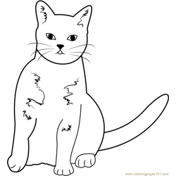 Cat Show Heinola Free Coloring Page for Kids