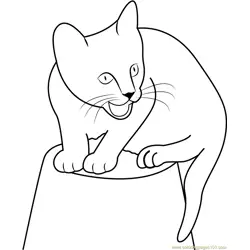 Cat Sitting Up on a Pot Free Coloring Page for Kids