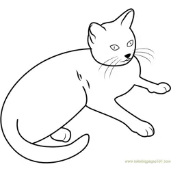 Cat Sitting and Looking Free Coloring Page for Kids