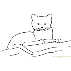 Cat Sitting on Sand Free Coloring Page for Kids