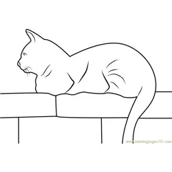 Cat Sitting on Wall Free Coloring Page for Kids