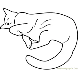 Cat Sleeping in Funnyway Free Coloring Page for Kids