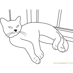 Cat Sleeping near by Window Free Coloring Page for Kids
