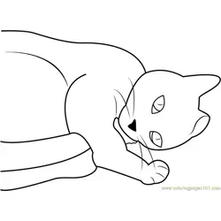 Cat Sleeping on Floor Free Coloring Page for Kids