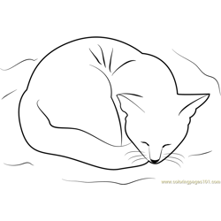 Cat Sleeping on her Bed Free Coloring Page for Kids