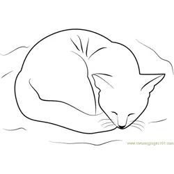 Cat Sleeping on her Bed Free Coloring Page for Kids