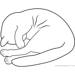 Cat covering its face with the paw Free Coloring Page for Kids