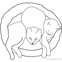 Cat in Ellipse Sleeping Free Coloring Page for Kids