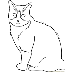 Cat look Scary Free Coloring Page for Kids