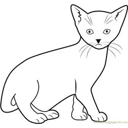 Cat looking at You Free Coloring Page for Kids