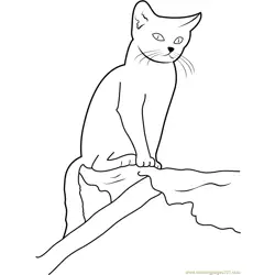 Cat sitting on Wood Free Coloring Page for Kids