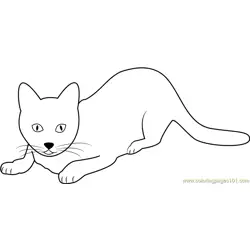 Cute Domestic Cat Ginger Free Coloring Page for Kids