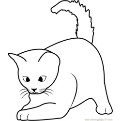 Cute Kitten Playing Free Coloring Page for Kids