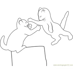 Fighting Kitten Free Coloring Page for Kids