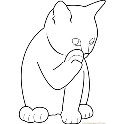 Ginger Cat Licking its Paw Free Coloring Page for Kids