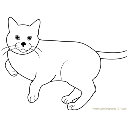 Happy Cat Jumping Free Coloring Page for Kids