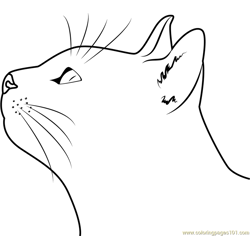 Italy Cat Free Coloring Page for Kids