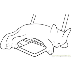 Kitten Sleeping on Laptop