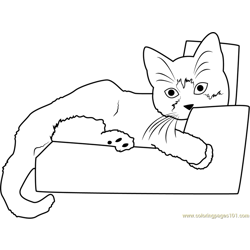Kitten Sleeping on Sofa Free Coloring Page for Kids
