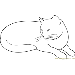 My Cat is Bored Free Coloring Page for Kids
