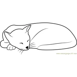 Sleeping Cat Looks Cute Free Coloring Page for Kids